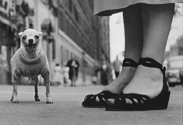 New York, 1946, Elliott Erwitt